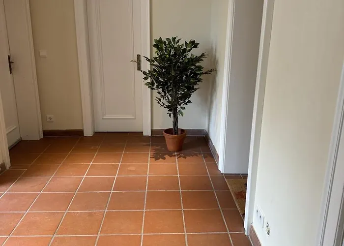 Zum Backenzahn Lägenhet